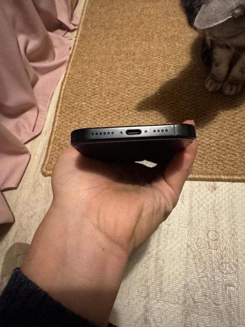 海外版iPhone 16 Pro Max 1TB,極美品, 充電回数は2回