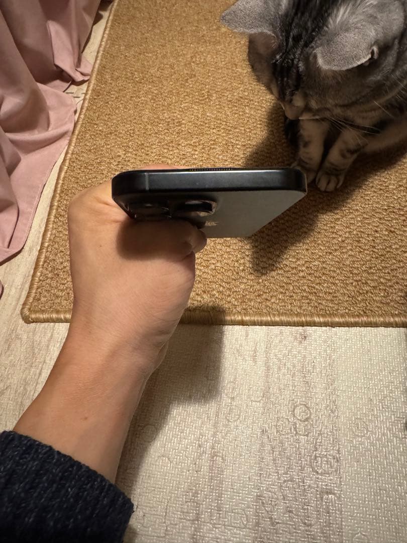 海外版iPhone 16 Pro Max 1TB,極美品, 充電回数は2回