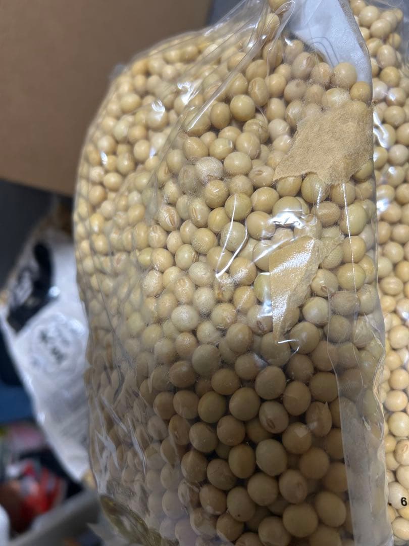 新品　ソイリッチ 豆乳メーカー フクユタカ 6kg ショップジャパン