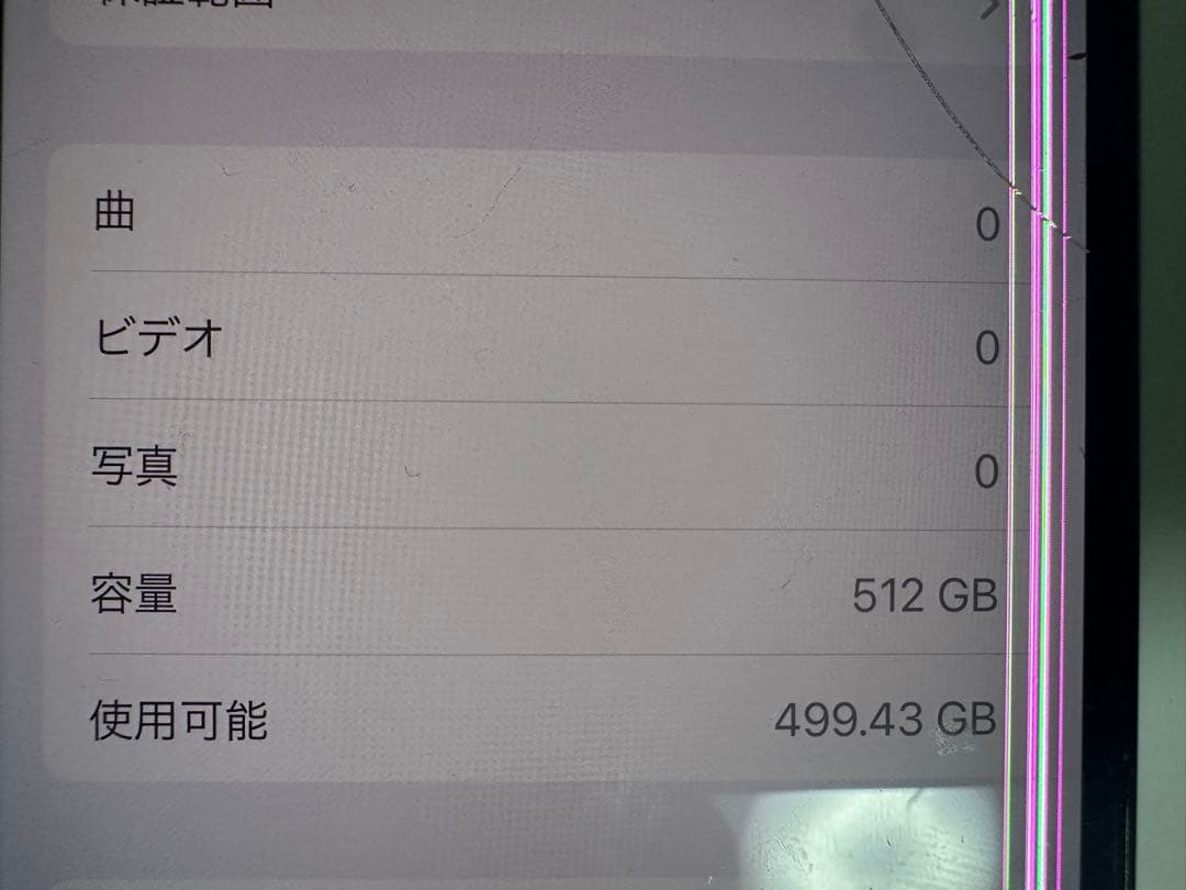 IPhone13pro ジャンク