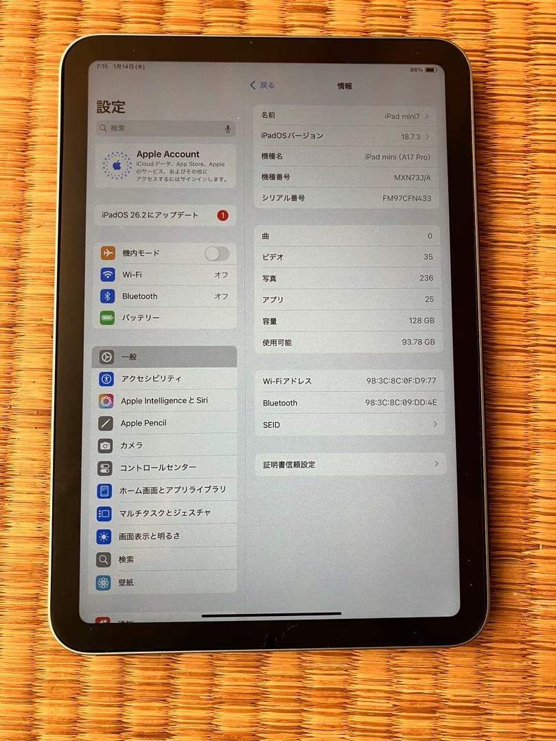 Apple iPad mini7 128GB ブルー