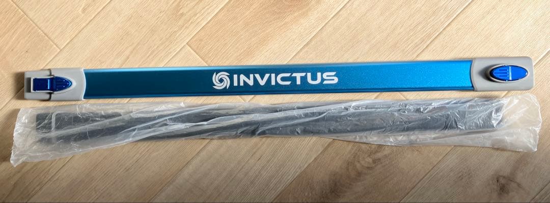 【美品】INVICTUS ONE インビクタスワン V2 コードレスクリーナー