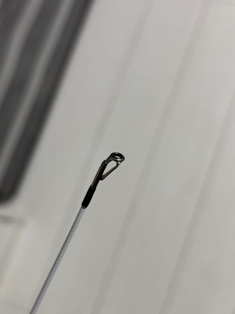 BLACK LION 75M ホワイトティップバージョン　ティップラン