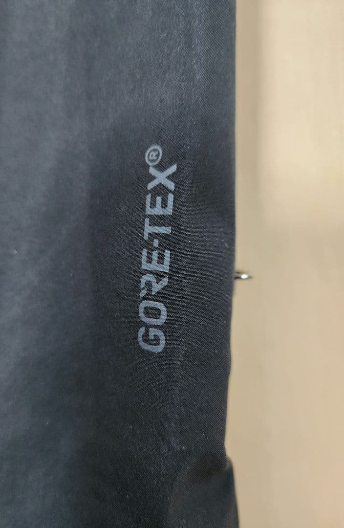 DAKINE ビブパンツ GORE-TEX スノーボードウェア 女性Lサイズ
