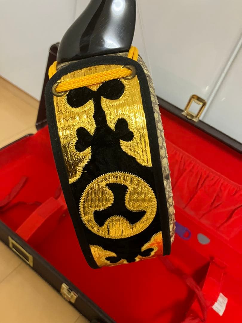 三線 本体 ヘビ皮 ケース付き