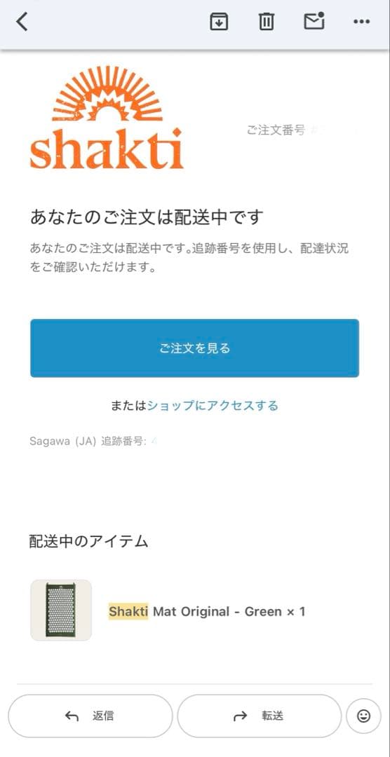 【正規品】シャクテイマット 緑 オリジナル（レベル2）