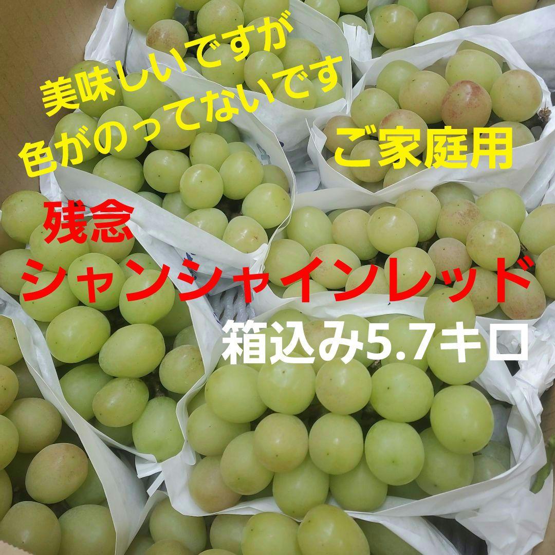 1⃣0️⃣ 山梨県産 サンシャインレッド １０房入り