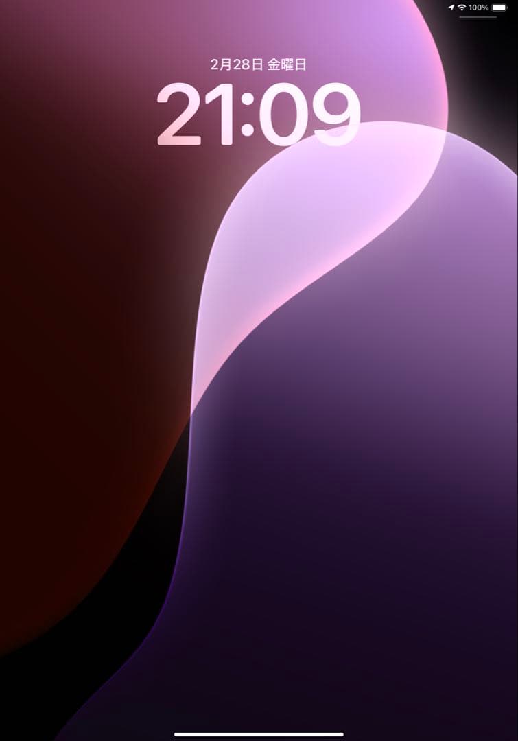 iPad pro 11第3世代　apple pencil 付き