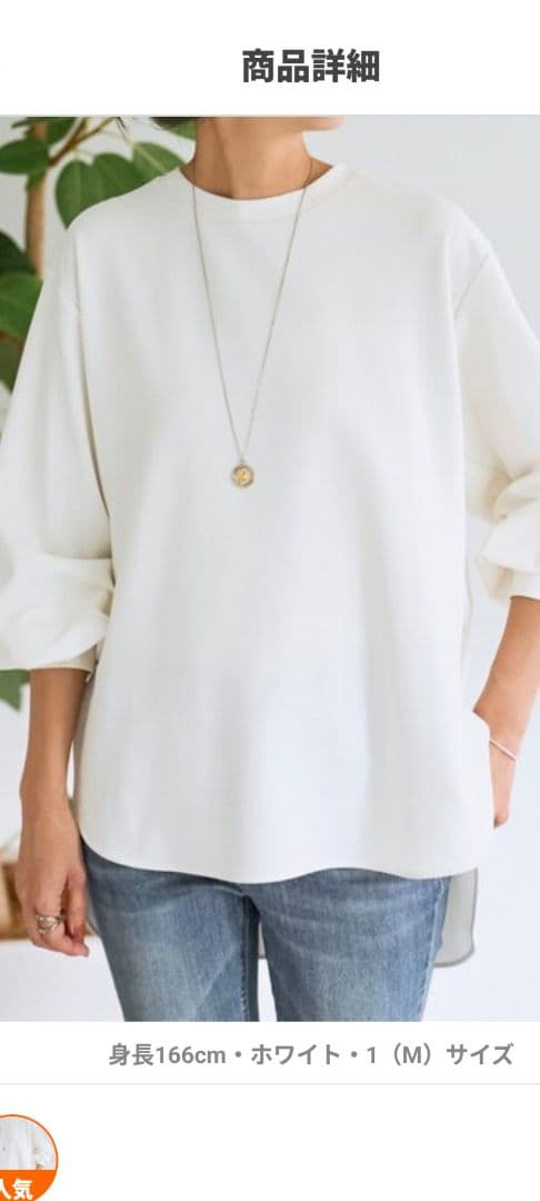 ☆TAB☆です BEARDSLEY　Tブラウスホワイト 新品