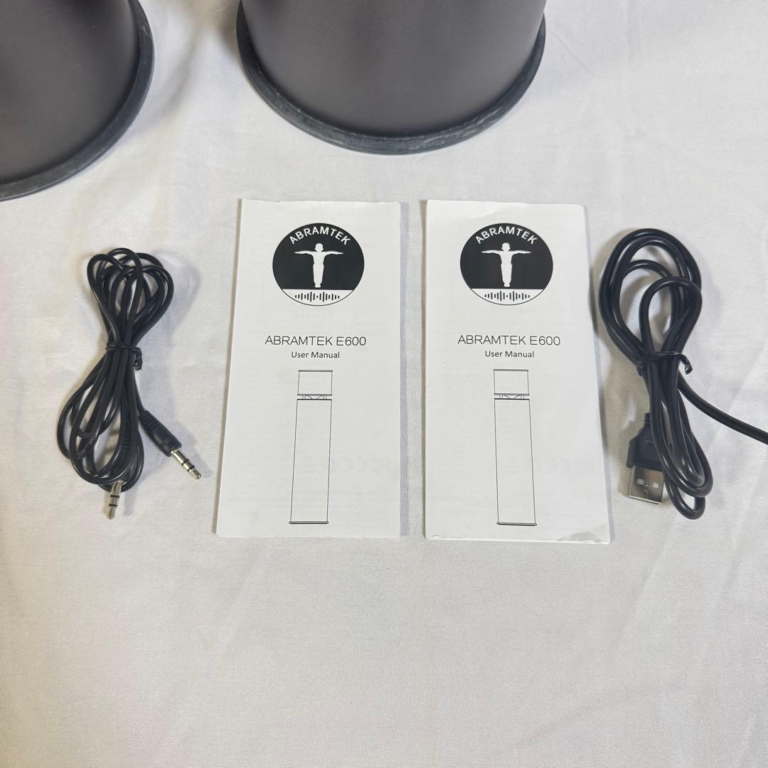 VOSO　ABRAMTEK E600 ワイヤレススピーカー　2本セット