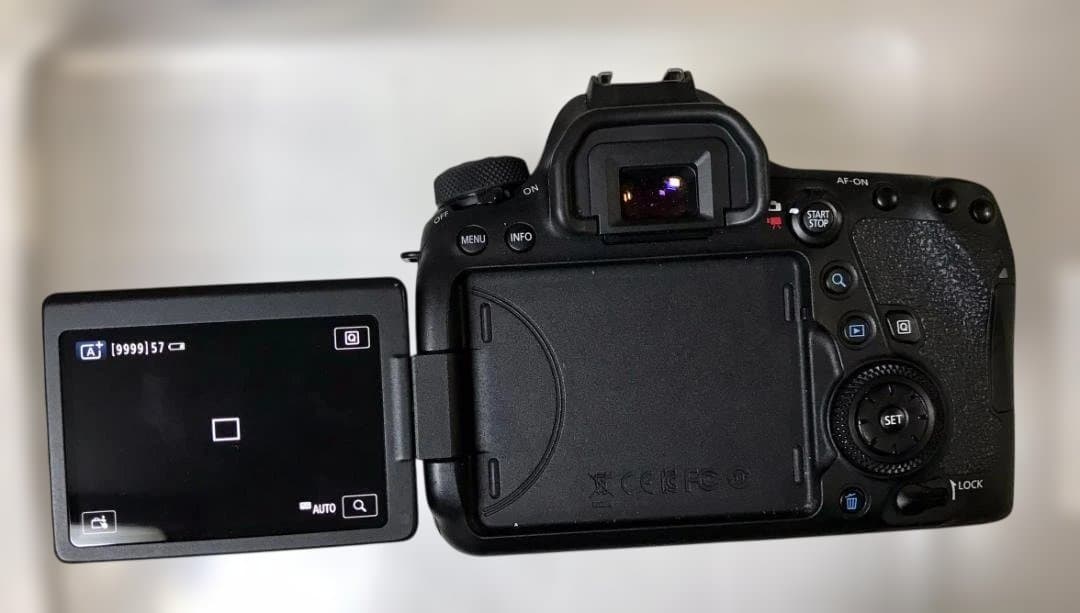 EOS 6D Mark II ＋ EF24-105mm F4L II（保証書有）