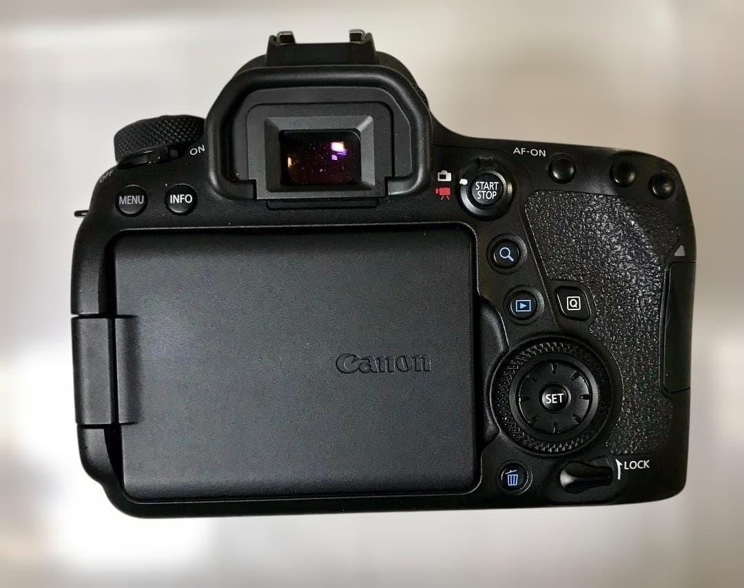 EOS 6D Mark II ＋ EF24-105mm F4L II（保証書有）