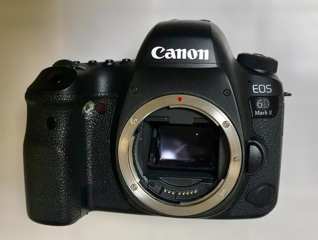 EOS 6D Mark II ＋ EF24-105mm F4L II（保証書有）