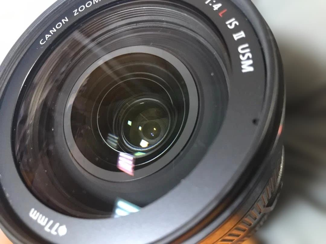 EOS 6D Mark II ＋ EF24-105mm F4L II（保証書有）