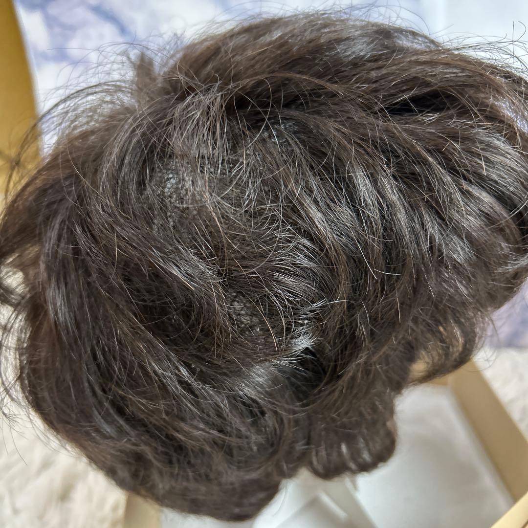 フォンテーヌ　ヴァラン　ナチュラルショートリバース　ウィッグ　VM28 F2B