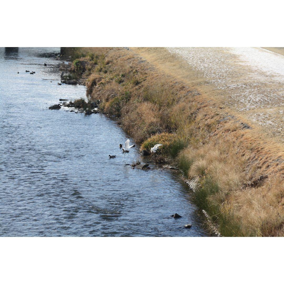 ❤即購入1000円OFF❤ キャノン Kiss X2 超望遠 ダブルレンズ