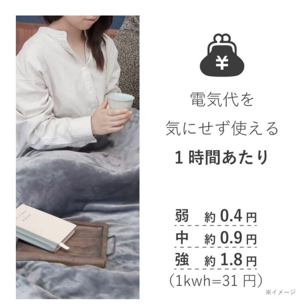 洗える電気毛布　コイズミ　グレー　15000円　未使用