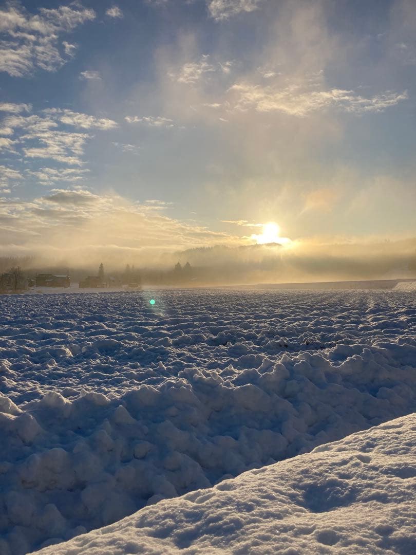 7年魚沼産コシヒカリ　玄米30kg