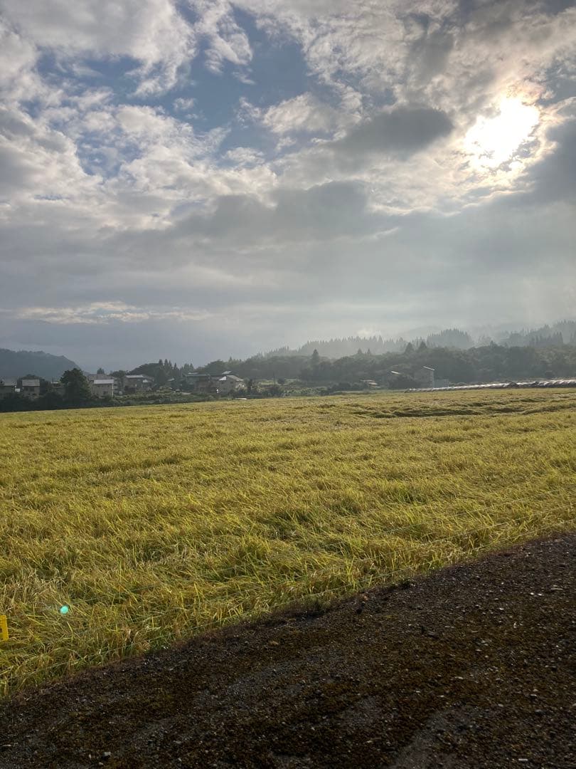 7年魚沼産コシヒカリ　玄米30kg