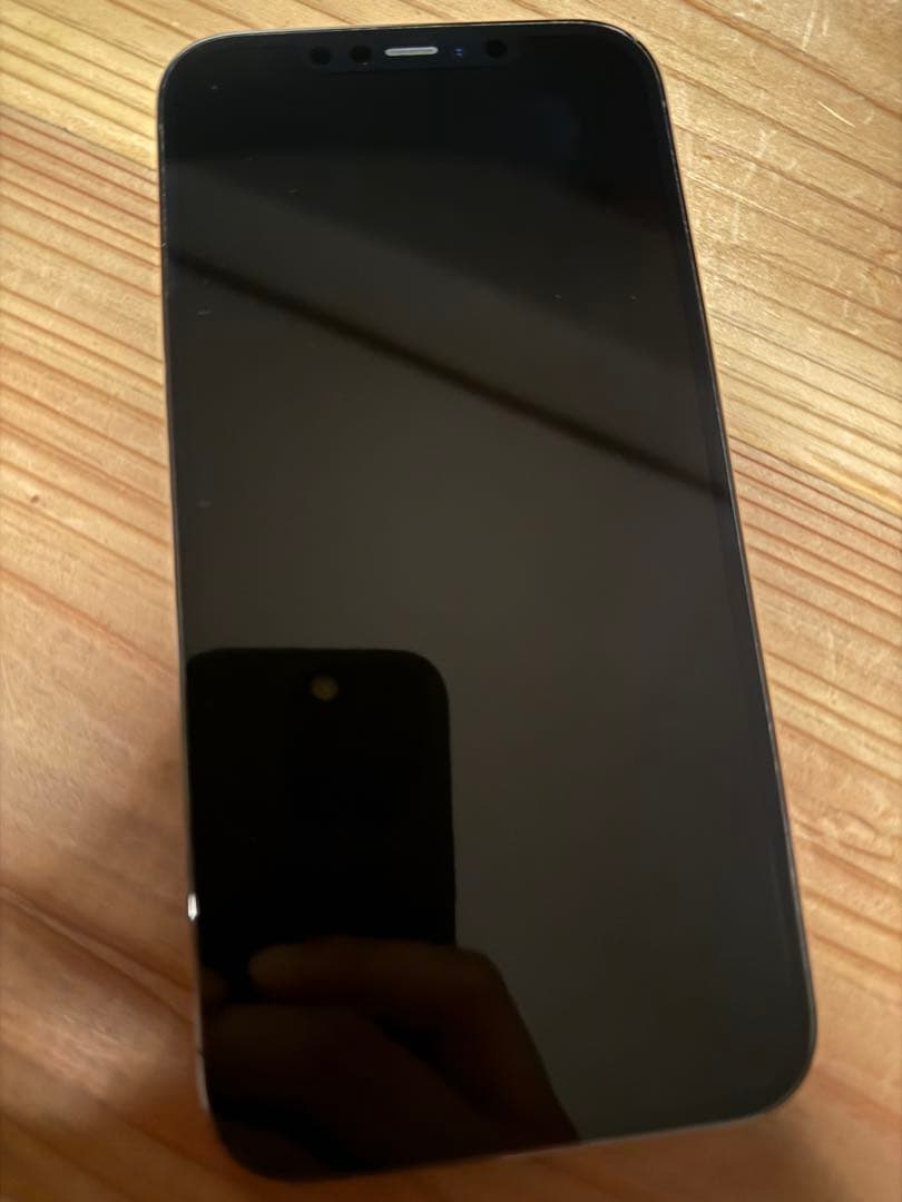 Apple iPhone 12 Pro Max 本体