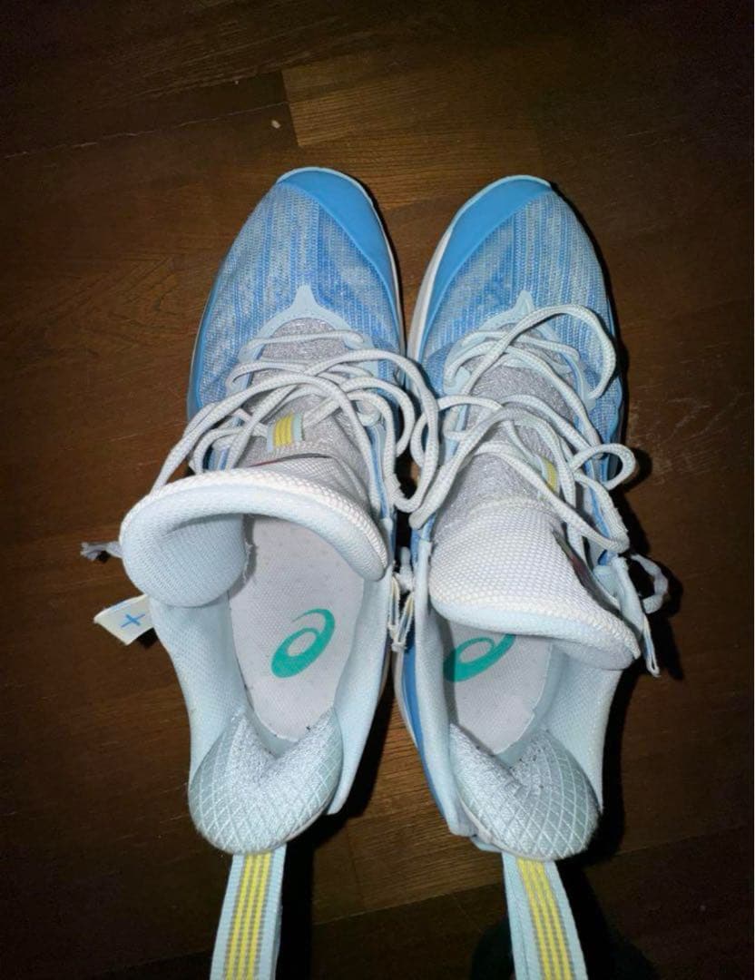 WADE SHADOW 5 V2 バッシュ