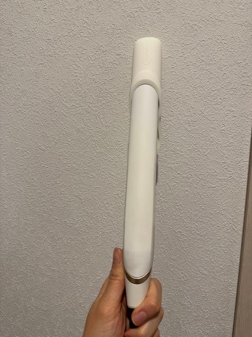 KINUJO W 絹女 ストレートアイロン DS100 海外対応 ホワイト