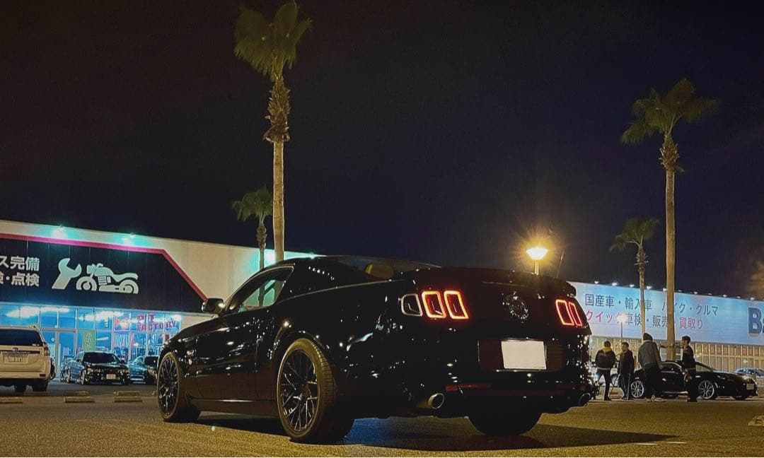 TSW セブリング　マットブラック　19インチ