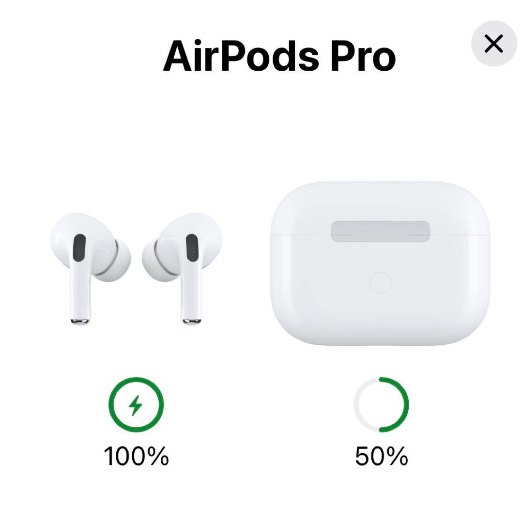 学*生様 【翌日発送】AirPodsPro本体 充電ケース Apple イヤホン