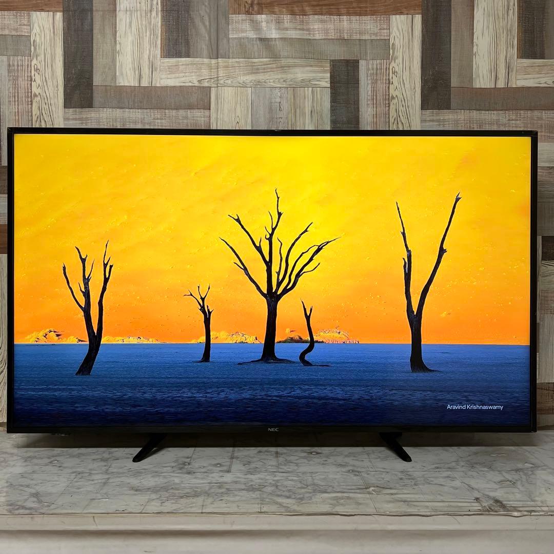 ☆Yuu☆さん専用全国送料込NEC55型4K液晶モニタースリム&スタイリッシュ