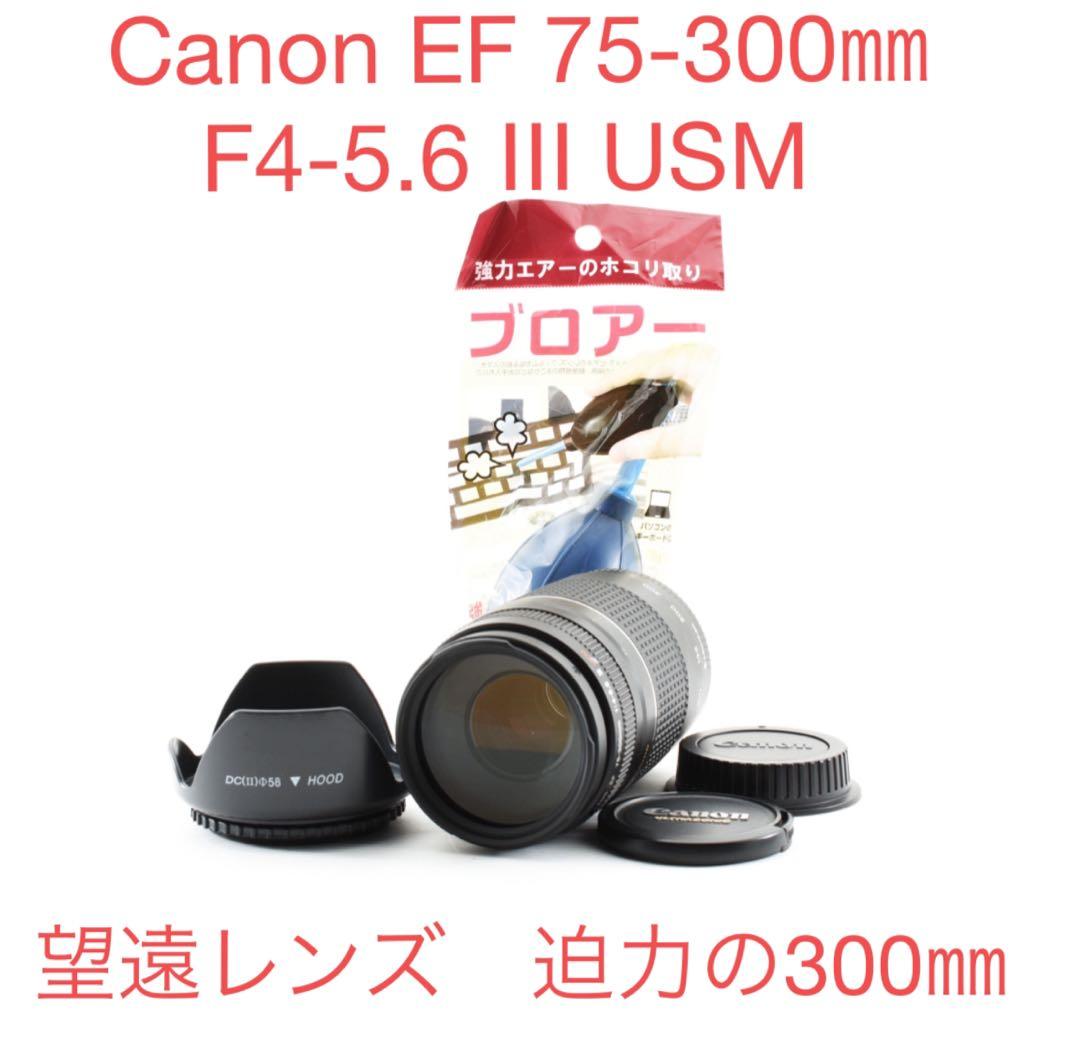 フルサイズ対応キャノン Canon EF 75-300㎜F4-5.6 Ⅲ USM