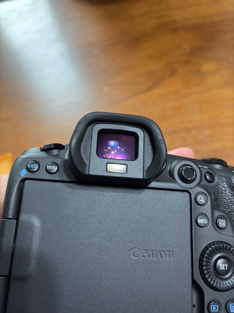 美品 Canon EOS R5 ミラーレス一眼 シャッター回数2744枚