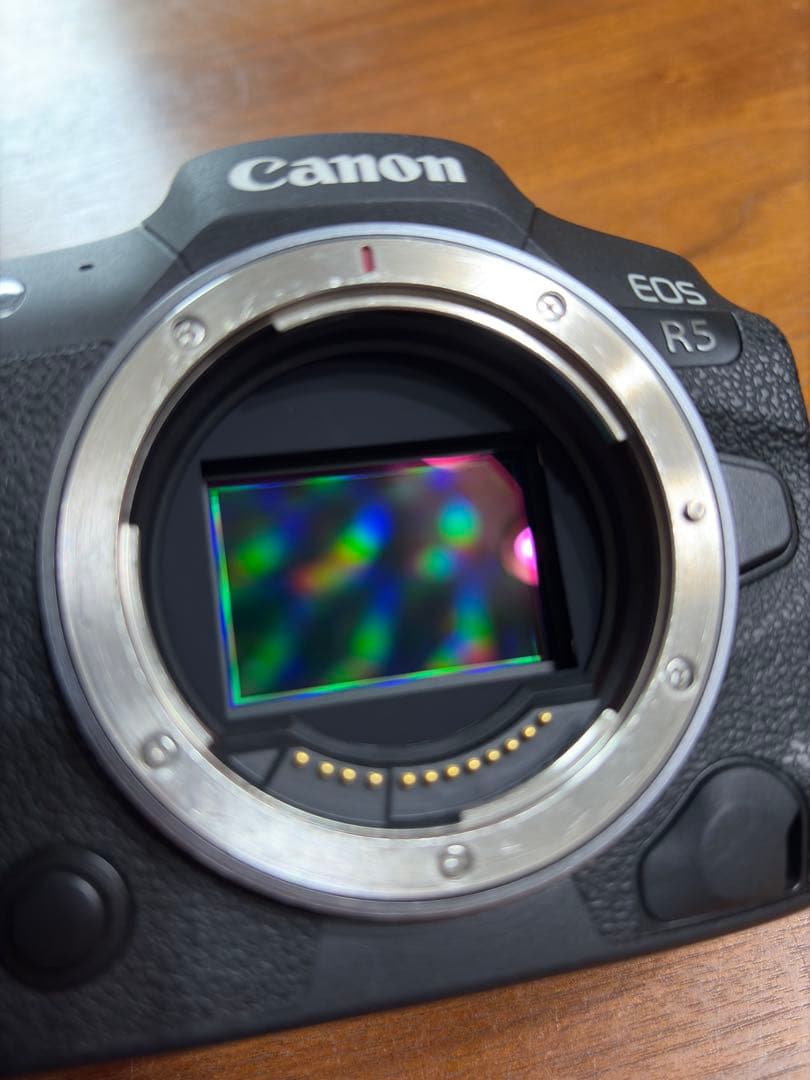 美品 Canon EOS R5 ミラーレス一眼 シャッター回数2744枚