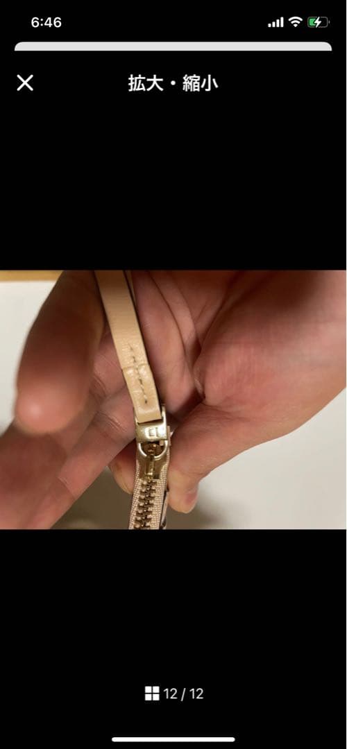 DELVAUX ベージュ ケース