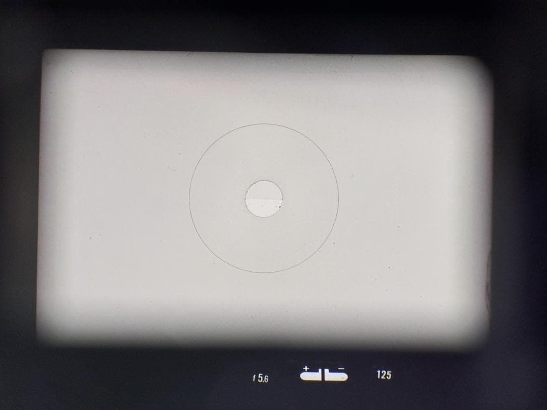 ☆初期F革☆極美品の完全動作 Nikon F2 55mm F1.2　＃356