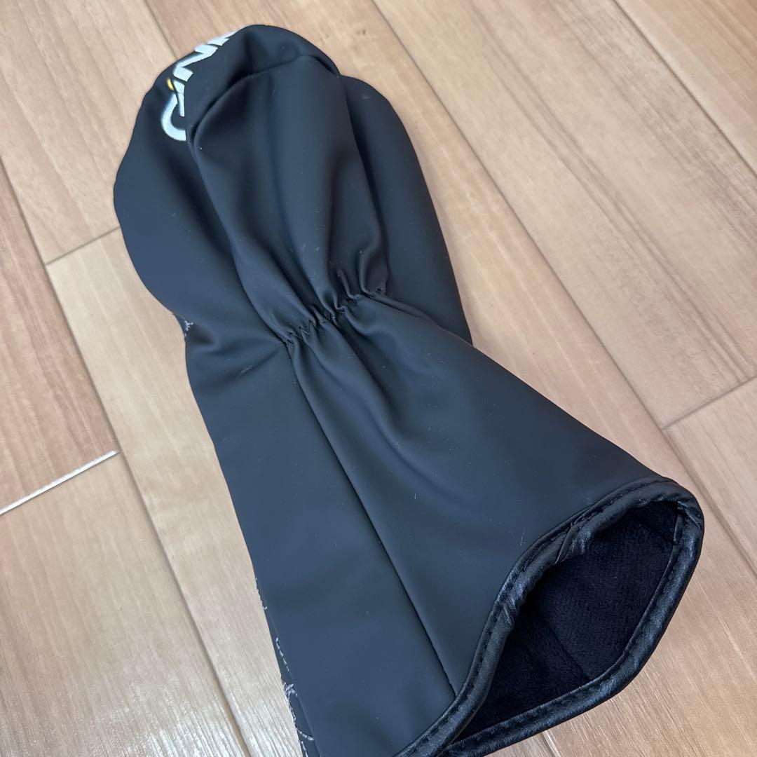 イオンスポーツ ジニコ ドライバーヘッド