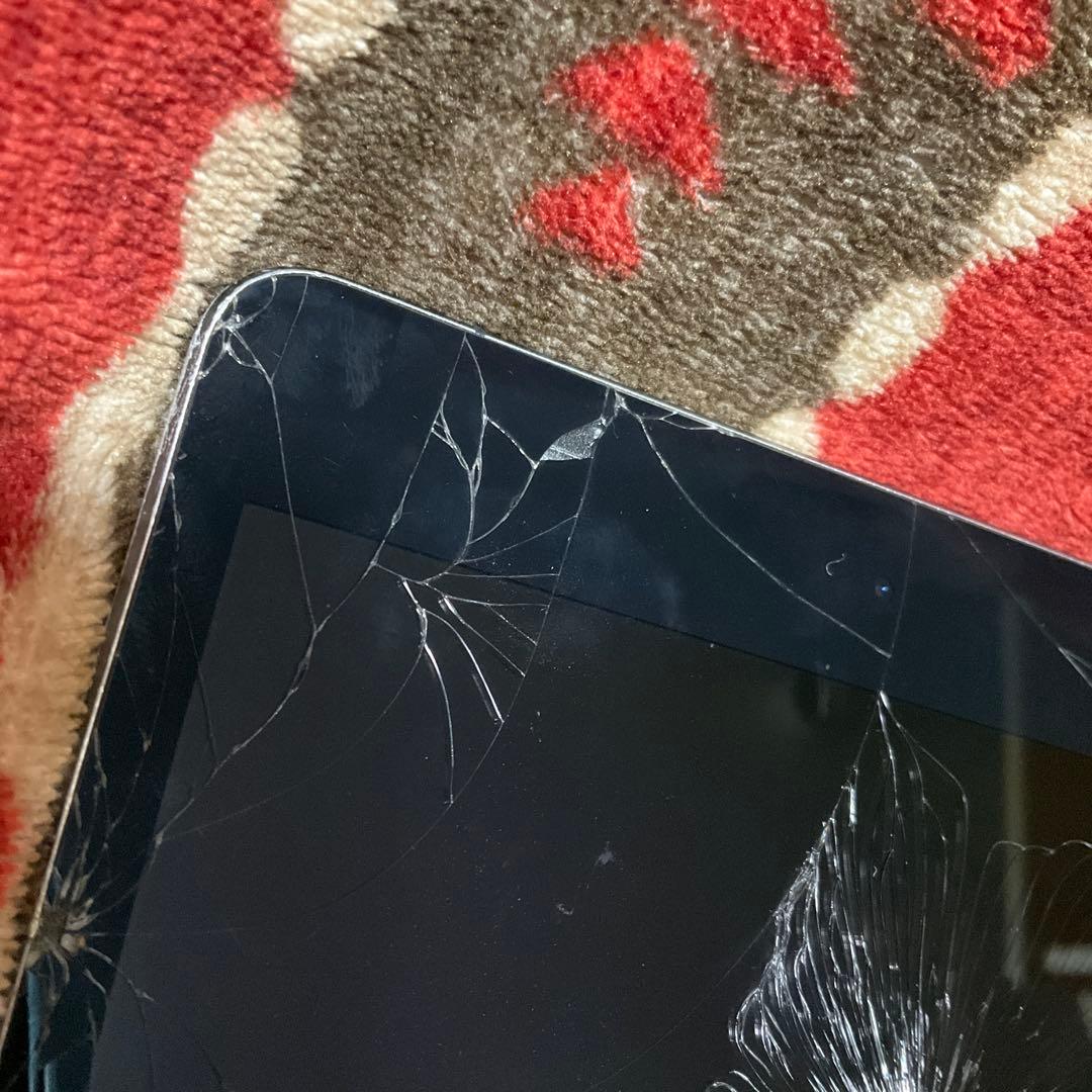 iPad本体 Apple iPad mini 5 256GB cellular