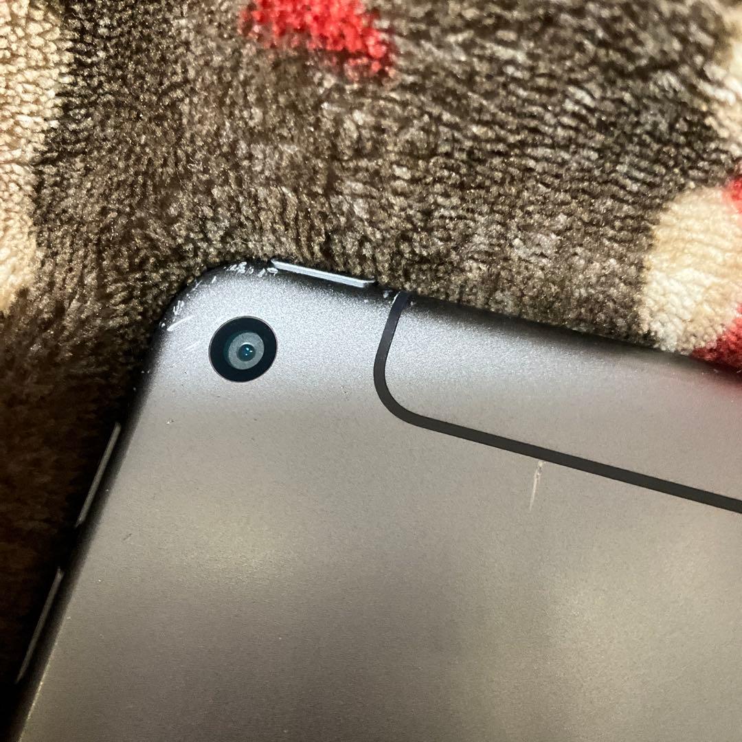 iPad本体 Apple iPad mini 5 256GB cellular