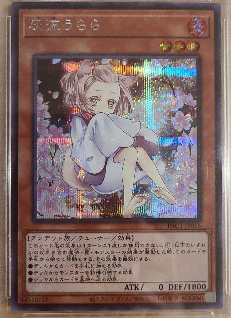 【PSA10】遊戯王 灰流うらら