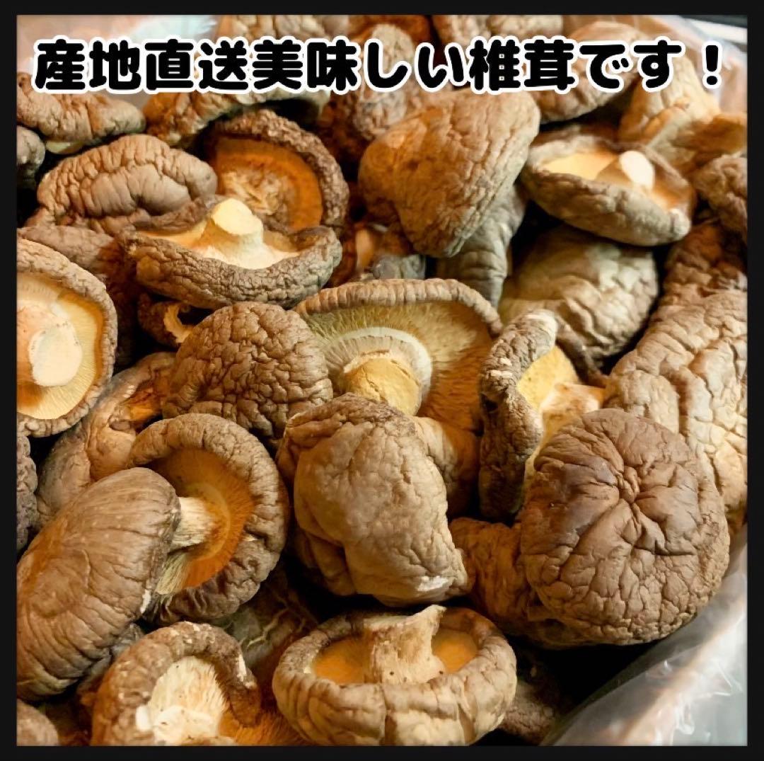 【産地直送】 乾燥椎茸　2kg 業務用　しいたけ　岩手県産　東北の味