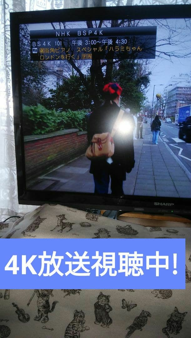 シャープ4Kレコーダー4B-C20BT3/新4K番組が見れ・録れる/三番組同録可