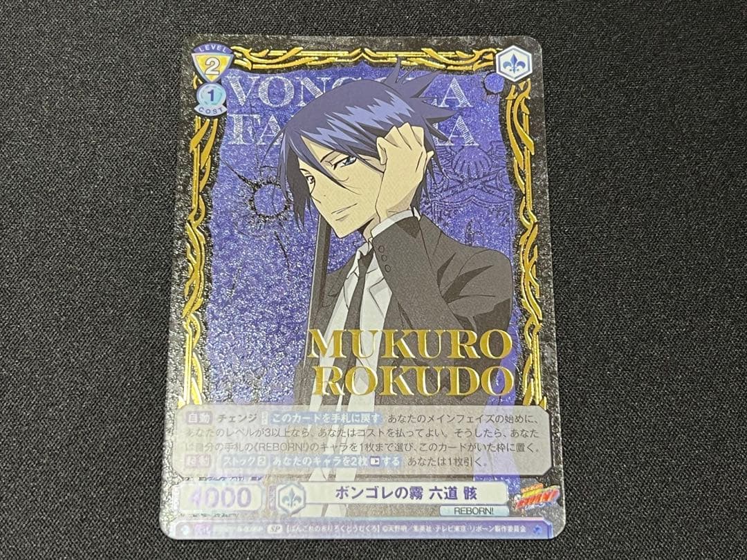 ボンゴレの霧六道 骸　SP