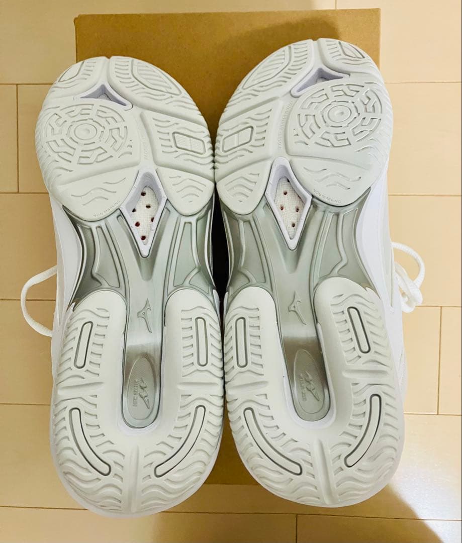 [ミズノ] フィットネスシューズ ウエーブダイバース LG 5 室内 24cm