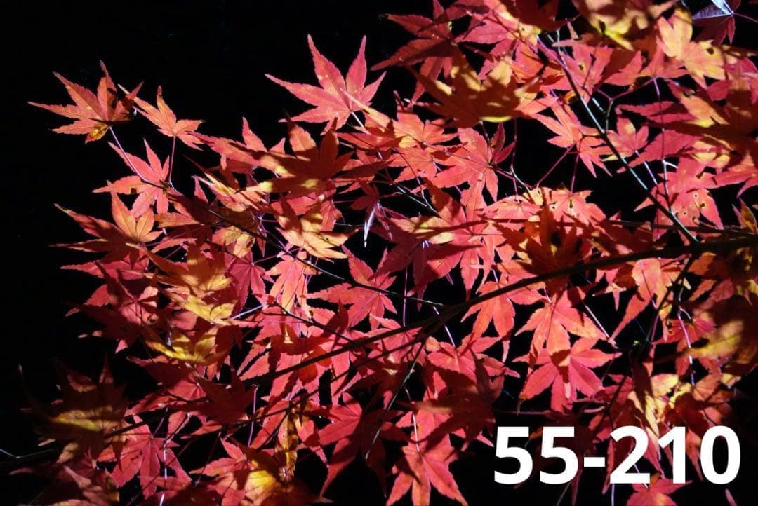 【最新モデル】SONY ZV-E10Ⅱ ホワイト ダブルレンズ Vlogセット