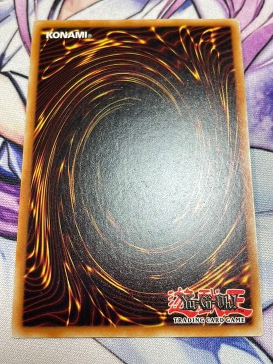 遊戯王 英語 EU版 トゥーンハーピィレディ コレクターズレア