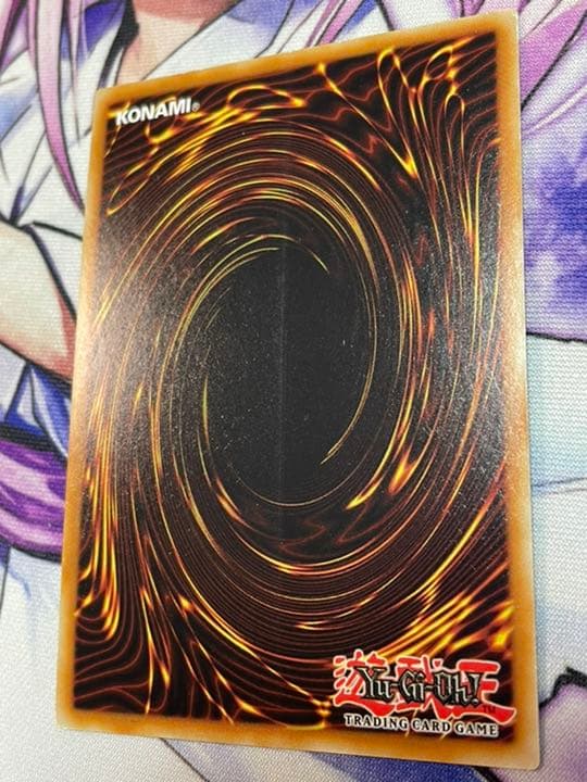 遊戯王 英語 EU版 トゥーンハーピィレディ コレクターズレア