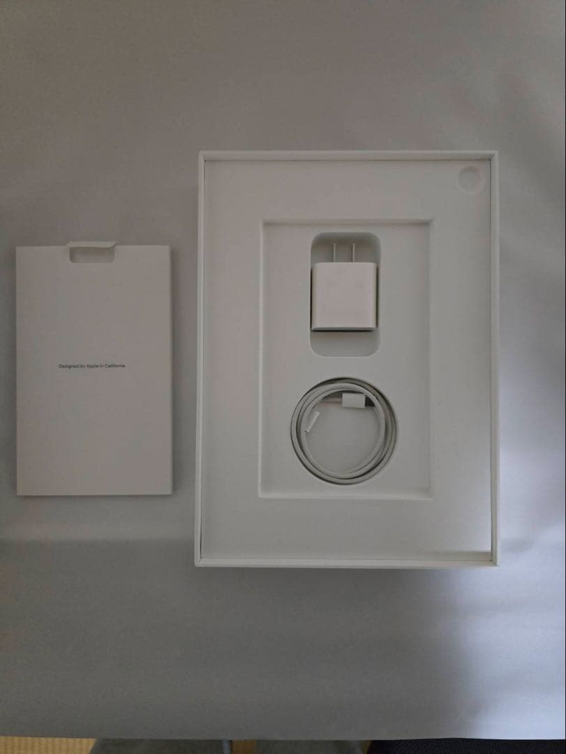 Apple iPad Pro 11インチ スペースグレー第一世代Wi-Fiモデル