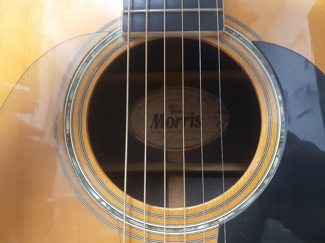 Morris M-25 アコースティックギター