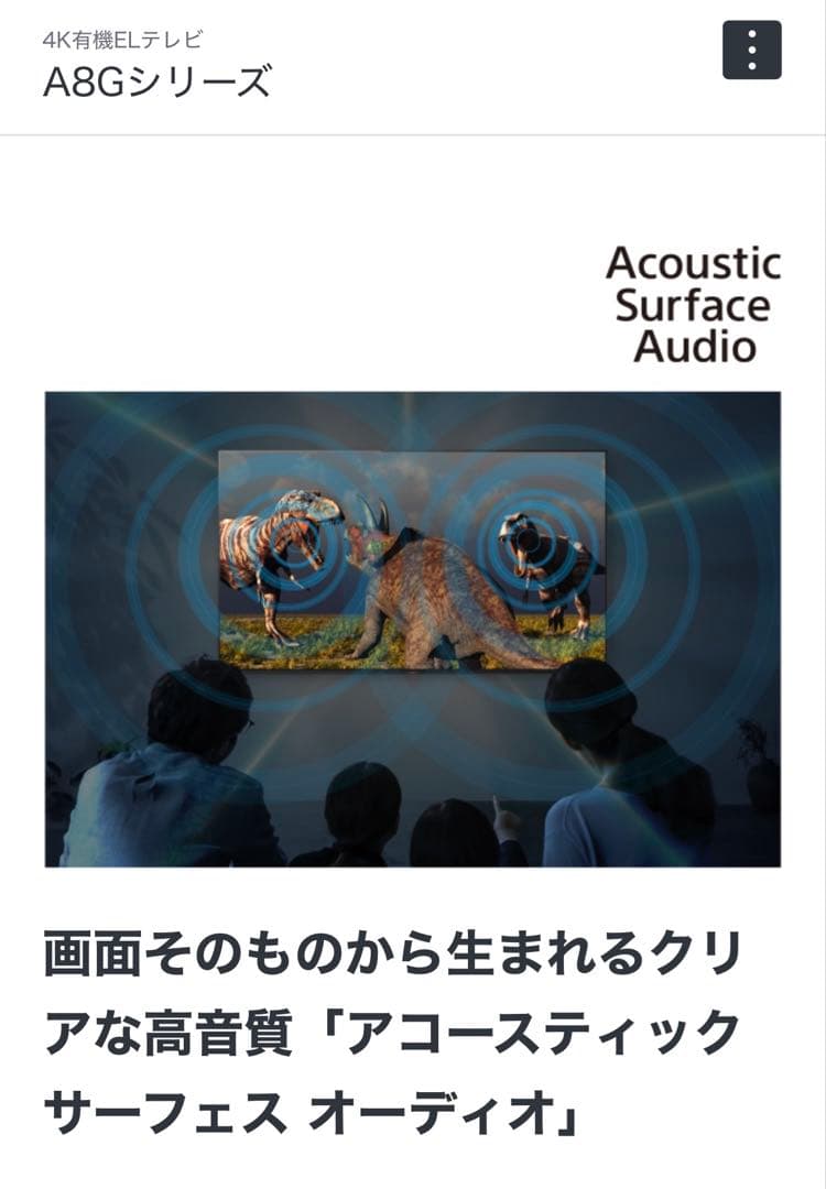 SONY BRAVIA 有機elテレビ　KJ-55A8G 19年 ※直接引取り可