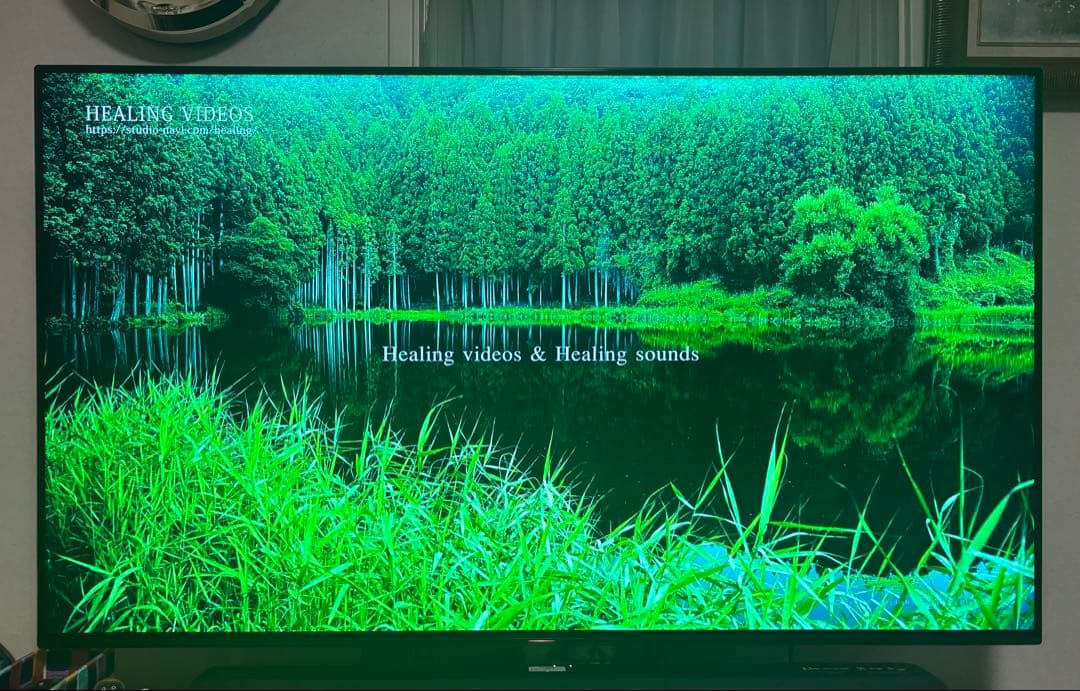 SONY BRAVIA 有機elテレビ　KJ-55A8G 19年 ※直接引取り可
