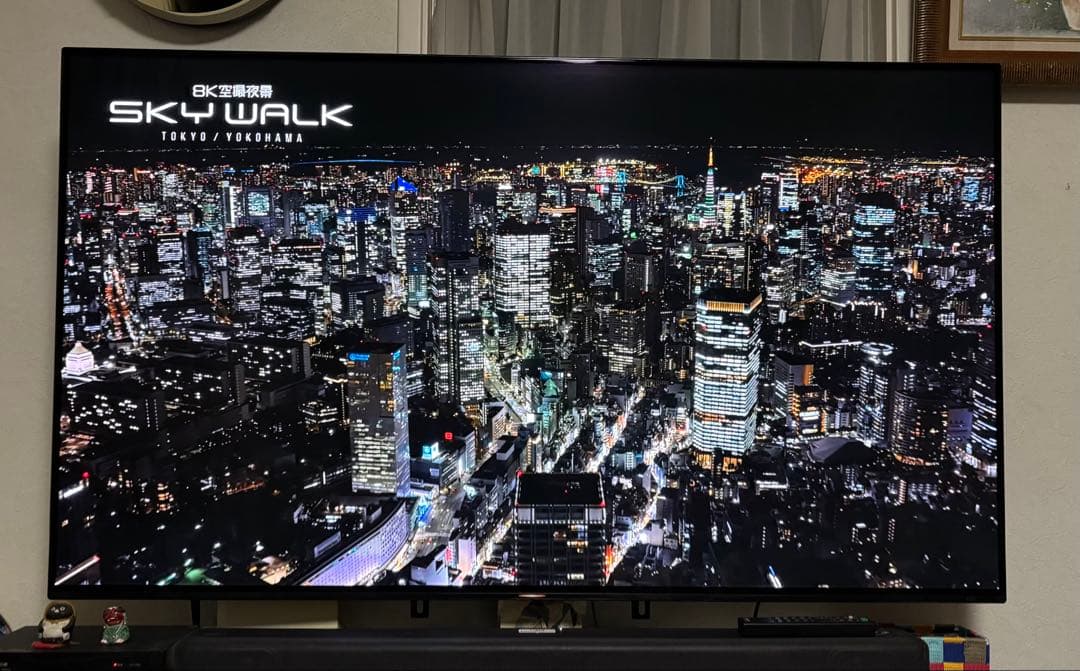 SONY BRAVIA 有機elテレビ　KJ-55A8G 19年 ※直接引取り可